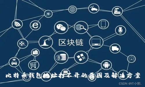 比特币钱包地址打不开的原因及解决方案