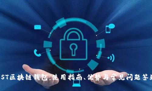 BST区块链钱包：使用指南、优势与常见问题答疑