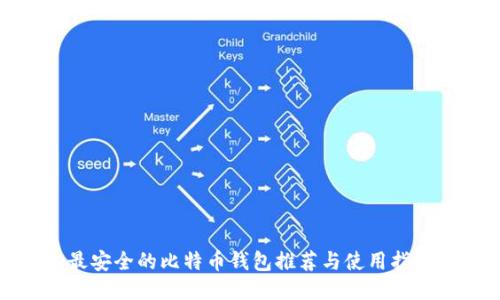 最安全的比特币钱包推荐与使用指南