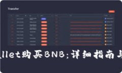 如何使用tpWallet购买BNB：详