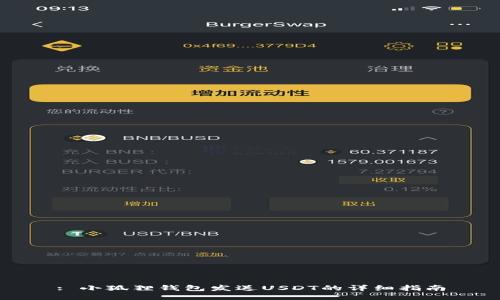 : 小狐狸钱包发送USDT的详细指南