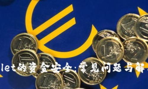 tpWallet的资金安全：常见问题与解决方案