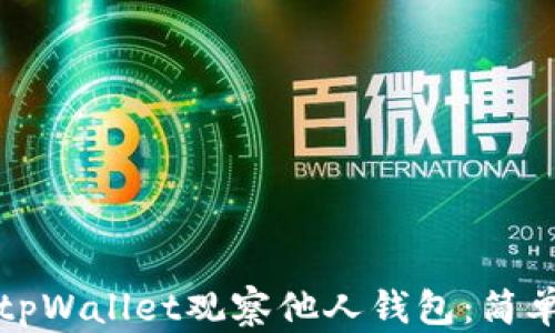 
如何使用tpWallet观察他人钱包：简单入门指南