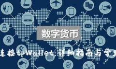 币安如何连接tpWallet：详细