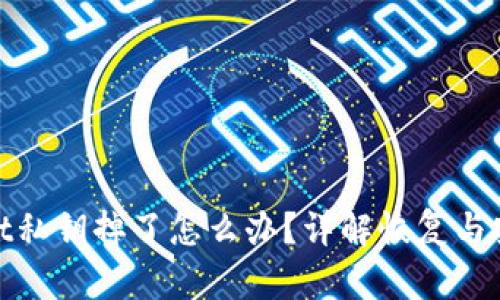 tpWallet私钥掉了怎么办？详解恢复与安全措施