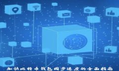加快比特币钱包同步速度