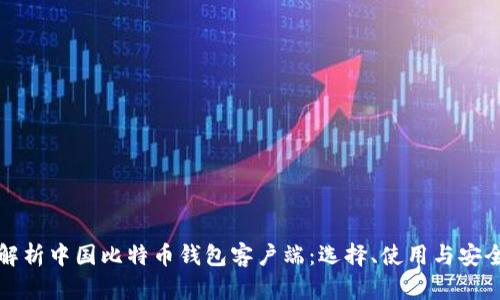 全面解析中国比特币钱包客户端：选择、使用与安全指南