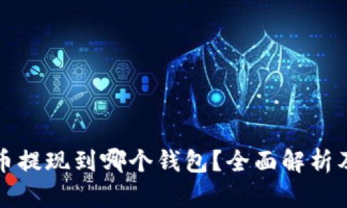 比特币提现到哪个钱包？全面解析及建议