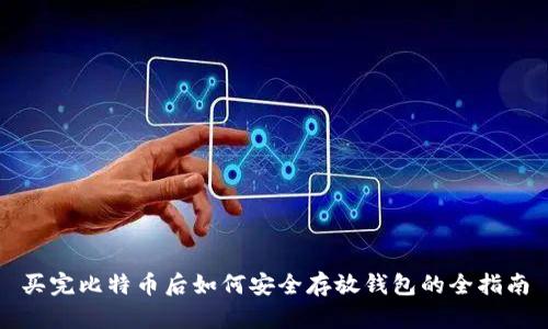 买完比特币后如何安全存放钱包的全指南
