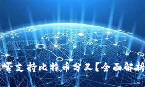 币信钱包是否支持比特币分叉？全面解析与使用指南