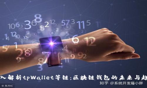 深入解析tpWallet等链：区块链钱包的未来与趋势