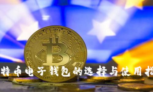比特币电子钱包的选择与使用指南