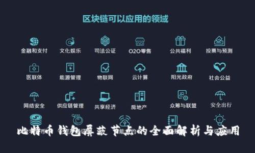 比特币钱包屏蔽节点的全面解析与应用