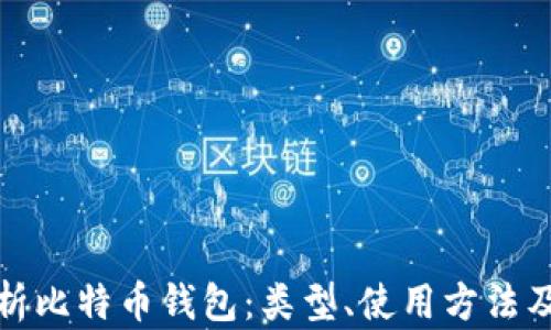 
全面解析比特币钱包：类型、使用方法及安全性