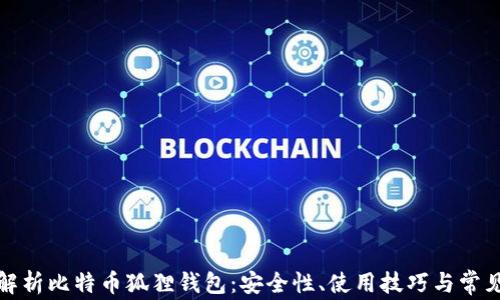 
全面解析比特币狐狸钱包：安全性、使用技巧与常见问题