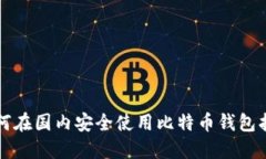 如何在国内安全使用比特