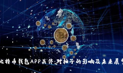 比特币钱包APP关停：对柚子的影响及未来展望