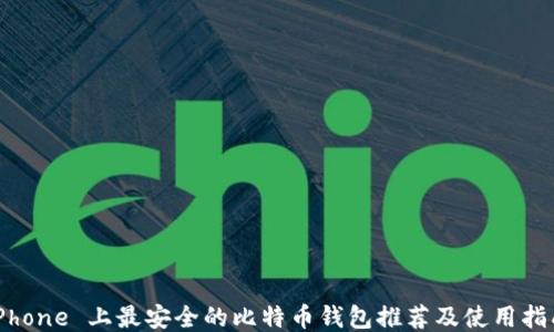
iPhone 上最安全的比特币钱包推荐及使用指南