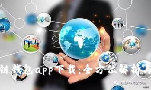 DCM区块链钱包app下载：全方位解析与使用指南