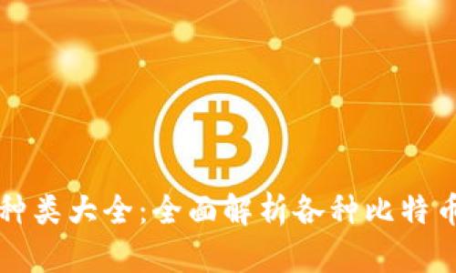比特币钱包种类大全：全面解析各种比特币钱包的优劣