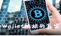 如何验证tpWallet地址的真实
