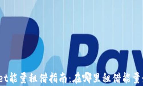 
tpWallet能量租借指南：在哪里租借能量最划算？