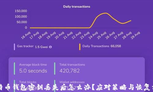 
比特币钱包密钥丢失后怎么办？应对策略与恢复方法