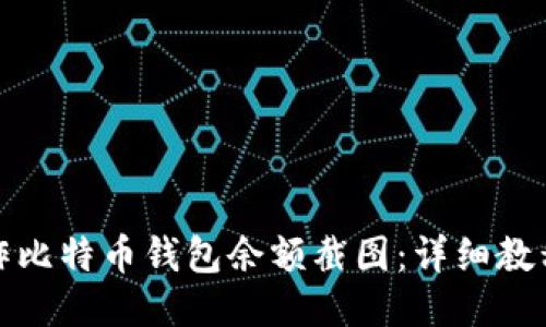 如何制作比特币钱包余额截图：详细教程与技巧