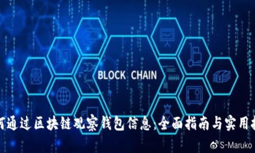 如何通过区块链观察钱包信息：全面指南与实用技巧