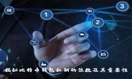 揭秘比特币钱包私钥的位数及其重要性