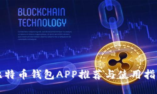 比特币钱包APP推荐与使用指南