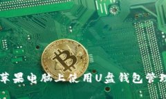如何在苹果电脑上使用U盘