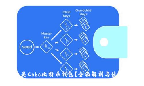 什么是Cobo比特币钱包？全面解析与使用指南