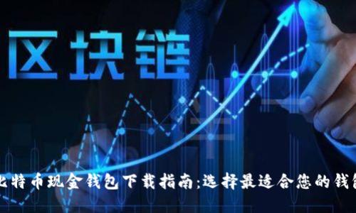 比特币现金钱包下载指南：选择最适合您的钱包
