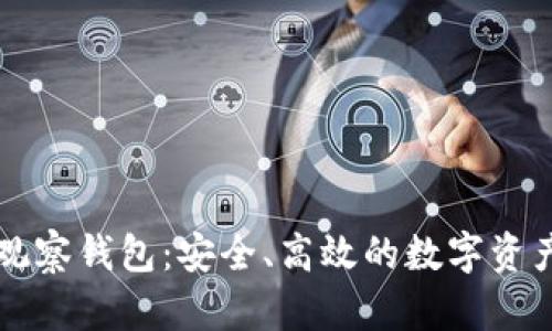 tpWallet稳定观察钱包：安全、高效的数字资产管理解决方案