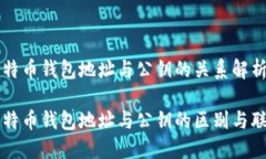 比特币钱包地址与公钥的