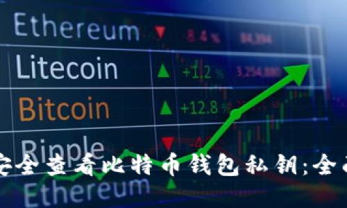 如何安全查看比特币钱包私钥：全面指南