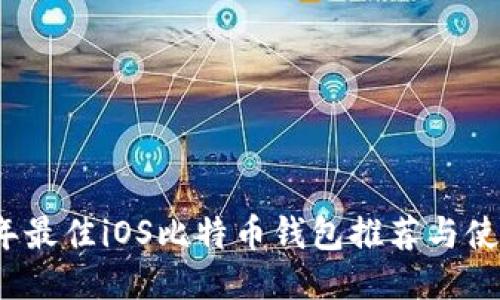 2017年最佳iOS比特币钱包推荐与使用指南