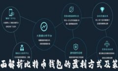 全面解析比特币钱包的盈