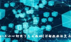 : tpWallet不小心卸载了怎么找回？详解数据恢复与