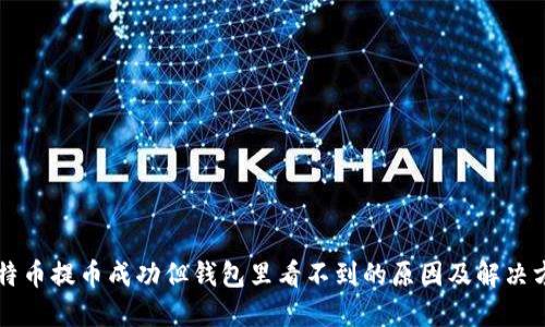 比特币提币成功但钱包里看不到的原因及解决方法
