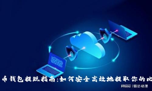 比特币钱包提现指南：如何安全高效地提取你的比特币