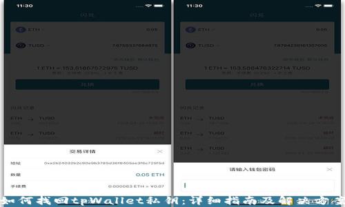 
如何找回tpWallet私钥：详细指南及解决方案