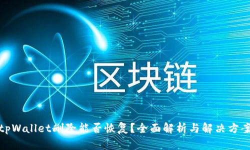 tpWallet删除能否恢复？全面解析与解决方案