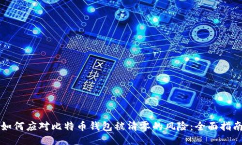 如何应对比特币钱包被清零的风险：全面指南