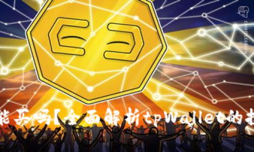 tpWallet的币能买吗？全面解析tpWallet的投资潜力与风险