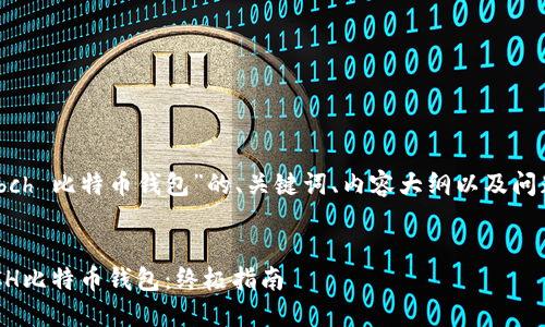 好的，以下是关于“bch 比特币钱包”的、关键词、内容大纲以及问题解答的详细内容。


如何选择最佳的BCH比特币钱包：终极指南