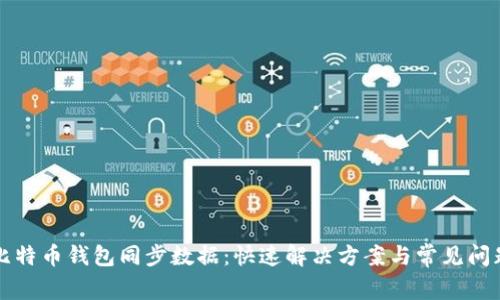 比特币钱包同步数据：快速解决方案与常见问题