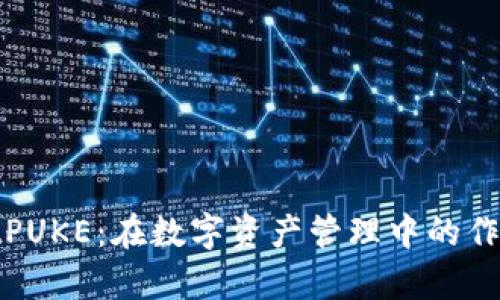 tpWalletPUKE：在数字资产管理中的作用与优势
