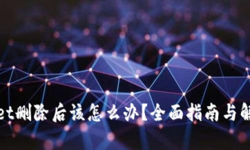 tpWallet删除后该怎么办？全面指南与解决方案